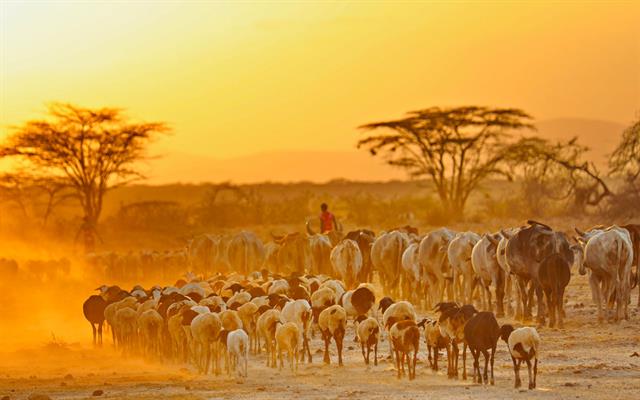 africa-e-oceano-indiano (21).jpg